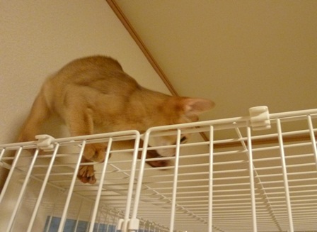 P1000765a.jpg