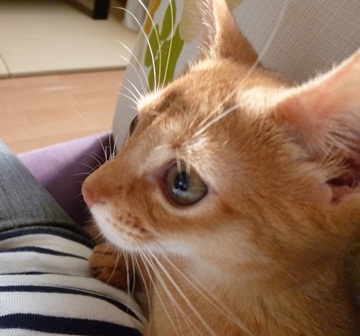 P1000793a.jpg
