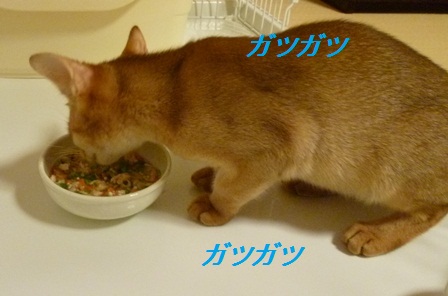 P1000810a.jpg