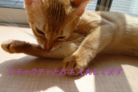 P1000846a.jpg