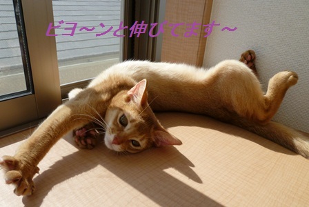 P1000851a.jpg