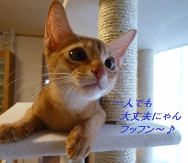 P1000862a.jpg