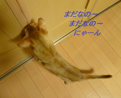 P1000953a.jpg