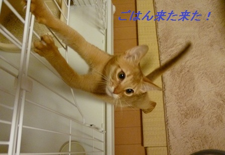 P1000955a.jpg