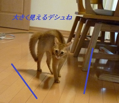 P1000990a.jpg