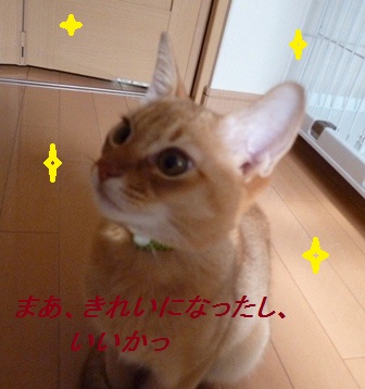 P1010082a.jpg
