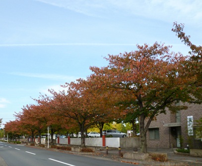 P1010087a.jpg