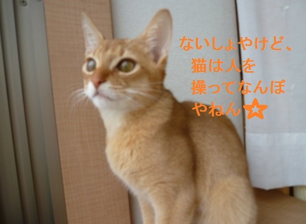 P1010114a.jpg