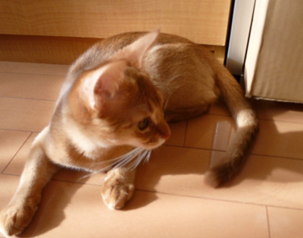P1010129a.jpg