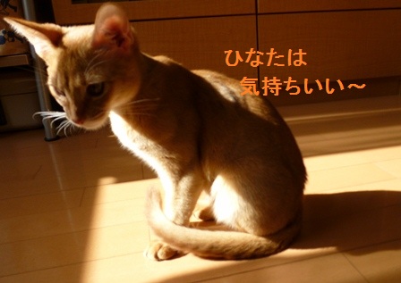 P1010134a.jpg