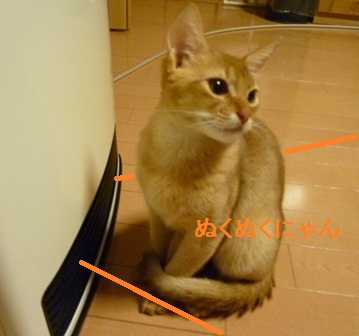 P1010158a.jpg