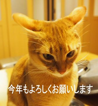 P1030305a.jpg