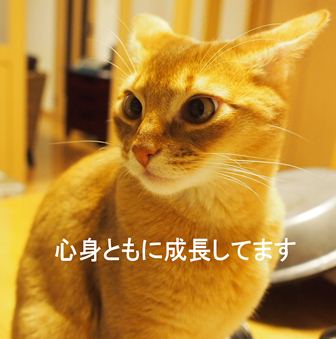 P1030306a.jpg