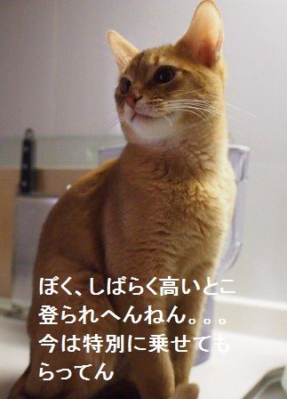 P1100322a.jpg