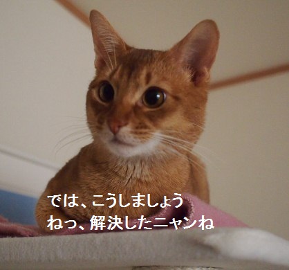 P2200563a.jpg