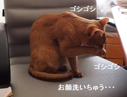 P4160770a.jpg