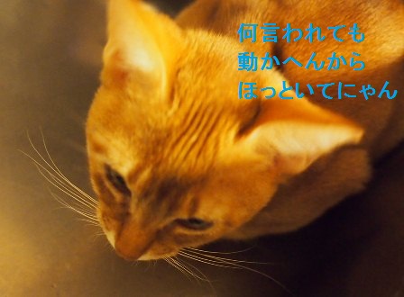 PB120049a.jpg