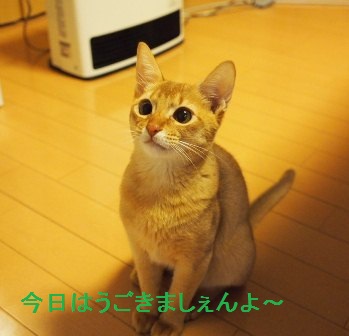 PB150062a.jpg