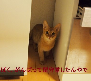 PB170082b.jpg