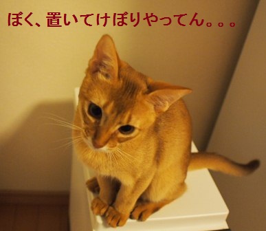 PB170084a.jpg