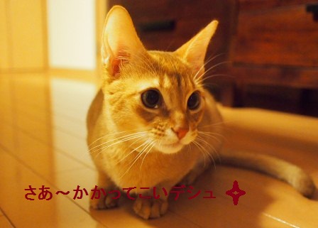PB230102a.jpg