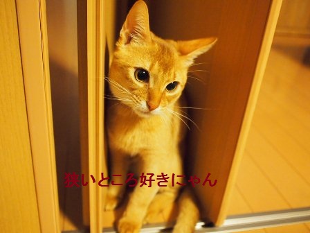 PB230107a.jpg