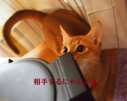 PB230111a.jpg