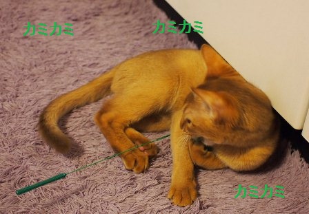 PB240115a.jpg