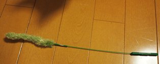 PB240129a.jpg