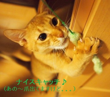 PB240132a.jpg