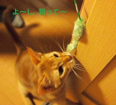 PB240135a.jpg