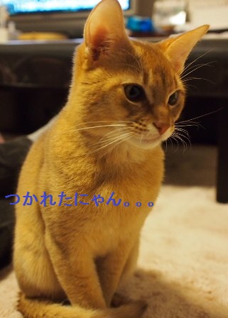 PC030173a.jpg