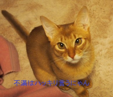 PC050179a.jpg