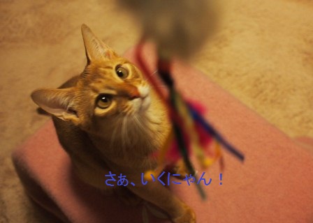 PC070195a.jpg