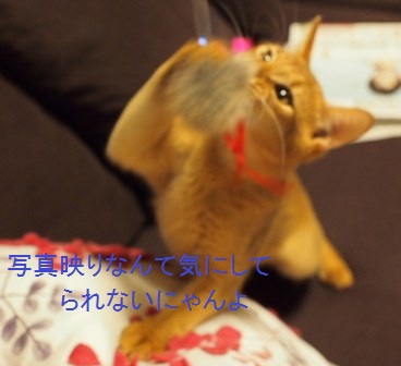 PC070208a.jpg