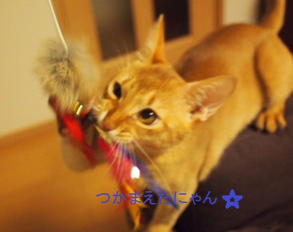 PC070212a.jpg