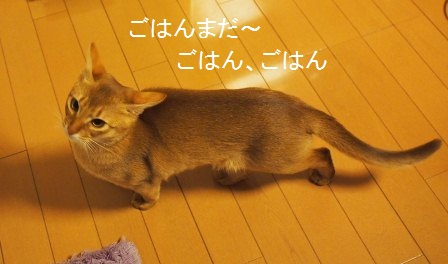PC120239a.jpg