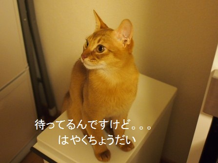 PC120240a.jpg