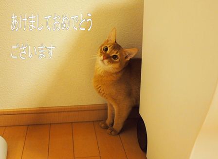 PC300299a.jpg