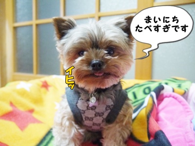 食べすぎ