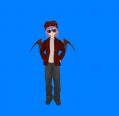ポケット手入れ