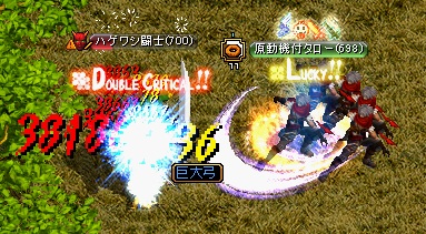 成長の報告