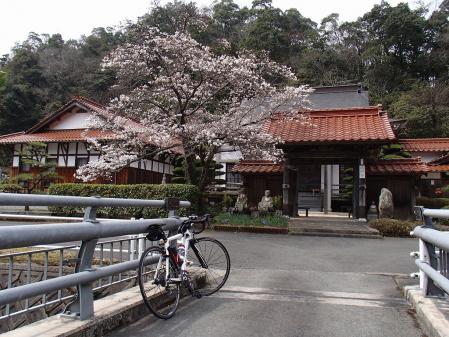 P3240432.jpg