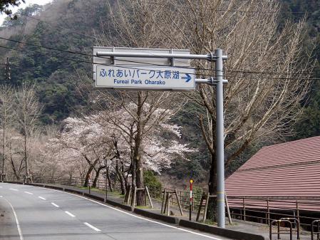 P3240442.jpg