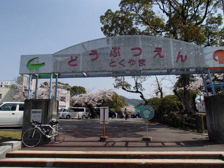 P3300485.jpg