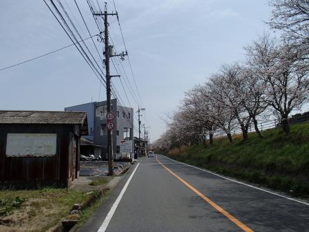 P3300492.jpg