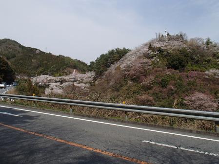 P3300495.jpg