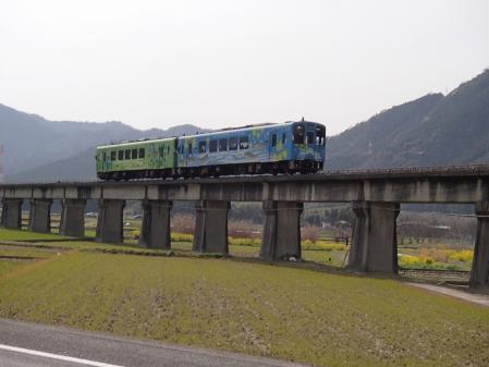 P3300531.jpg