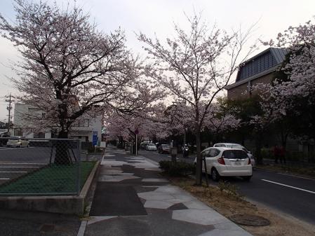 P3300546.jpg