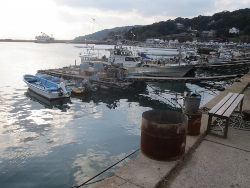 IMG_0020.jpg
